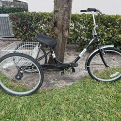 Miami Sun 3 Wheeler 24 Inch Wheel Single Speed