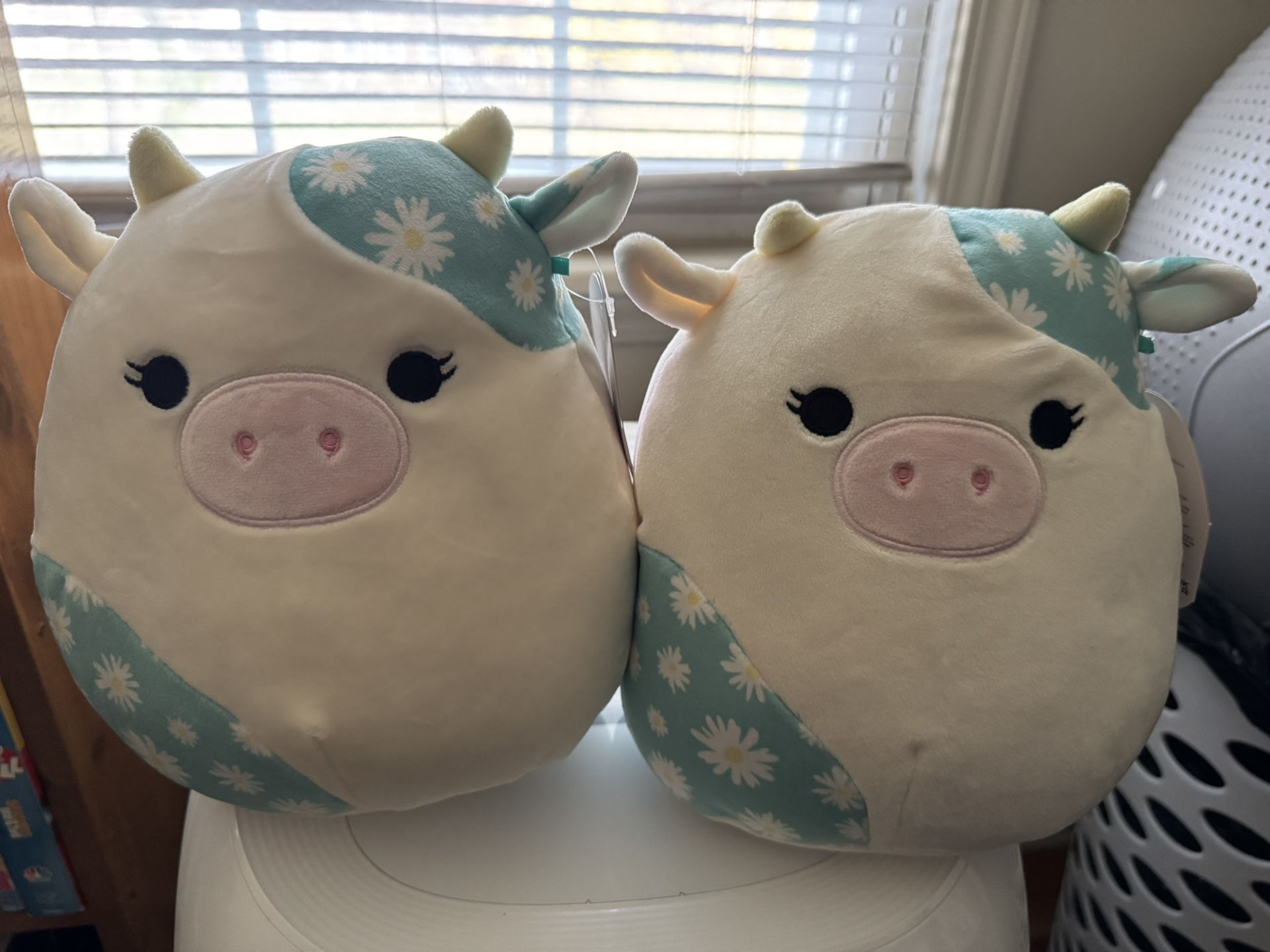 2 Squishmallows 