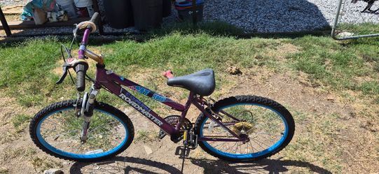 Roadmaster MT Sport Kids Mountain Bike
