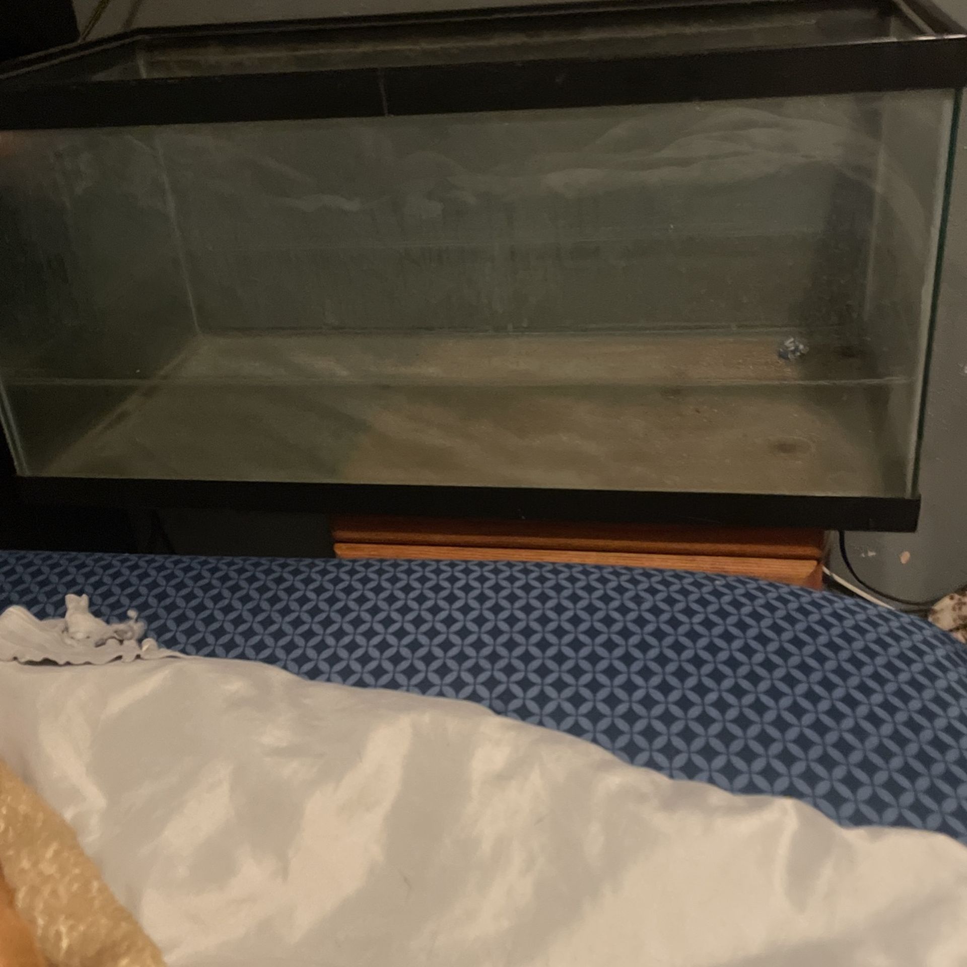 Fish Tank