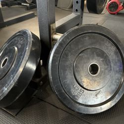 45LB Bumper Plate pair!