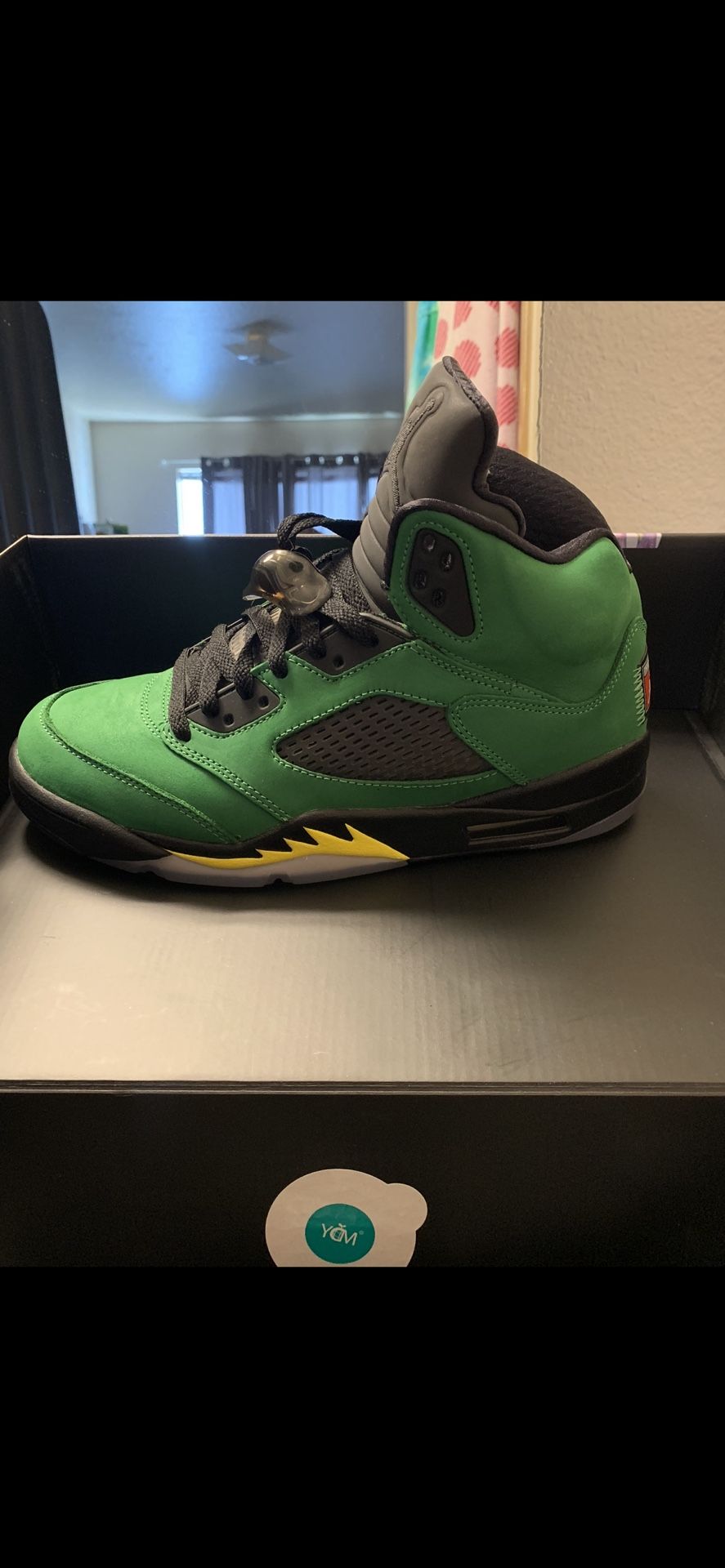 Air Jordan 5 Retro SE 