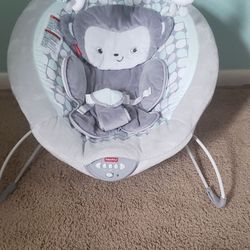 Fisher price bouncer