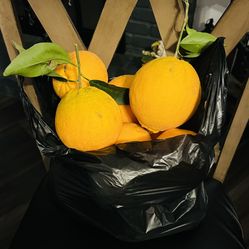 Naranjas Dulces 