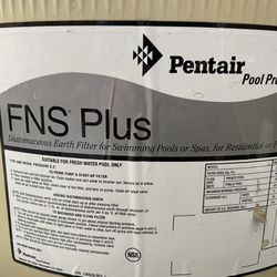 Pentair Spa/pool Filter
