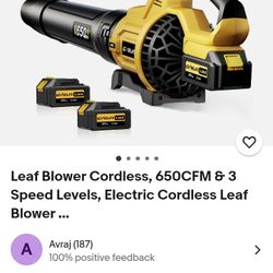 cordless leaf blower