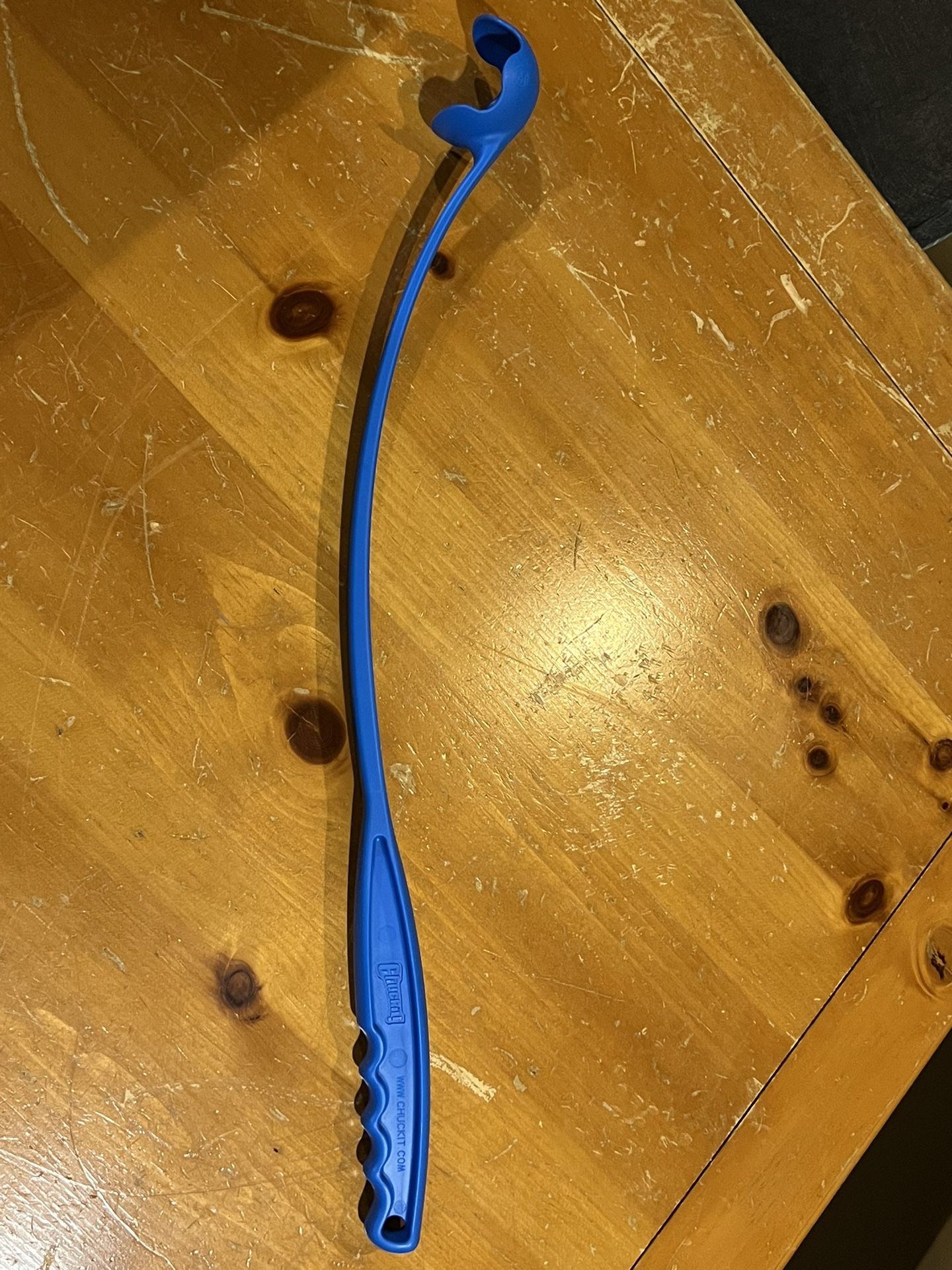 Chuckit Dog Toy