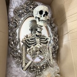 Katherine’s Collection RARE Sorceres Skull Skeleton Framed Mirror Halloween Decor