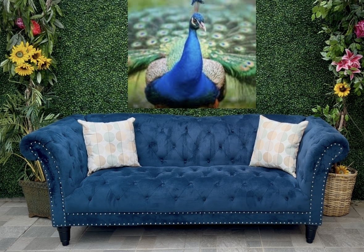 (Free delivery 🚚) Blue Truffle Couch🛋️