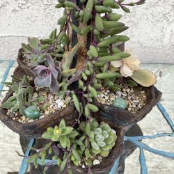 Handmade Ceramic Pot With Succulents And More! 