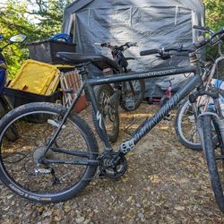 Specialized Rock Hopper Bike