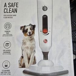 Brand New Steam Cleaner 