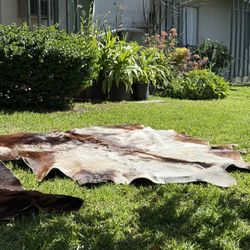 2 LARGE COWHIDES