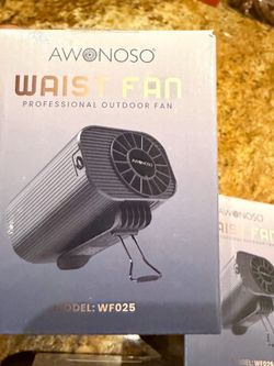 Personal waist fan