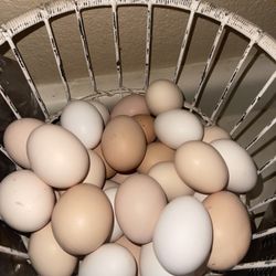Eggs 