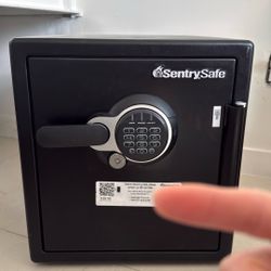 Big Safe *** SentrySafe SFW123GTC Fireproof Safe and Waterproof Safe