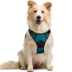 Rabbitgoo Dog Harness No Pull W/ 2 Leash Clips, Adjustable Soft Padded, Reflective Oxford No Choke M