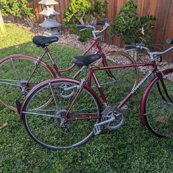 Schwinn World Tourist 1985-Rare Matching Pair: Excellent Condition