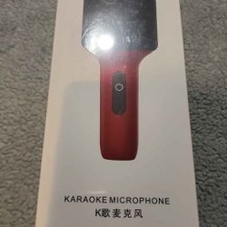 Karaoke microphone