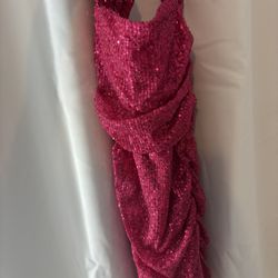 Hot pink Sequin Dress
