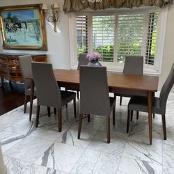 Dining Chairs