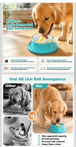 Dog Slow Feeder Lick Ball Bowl