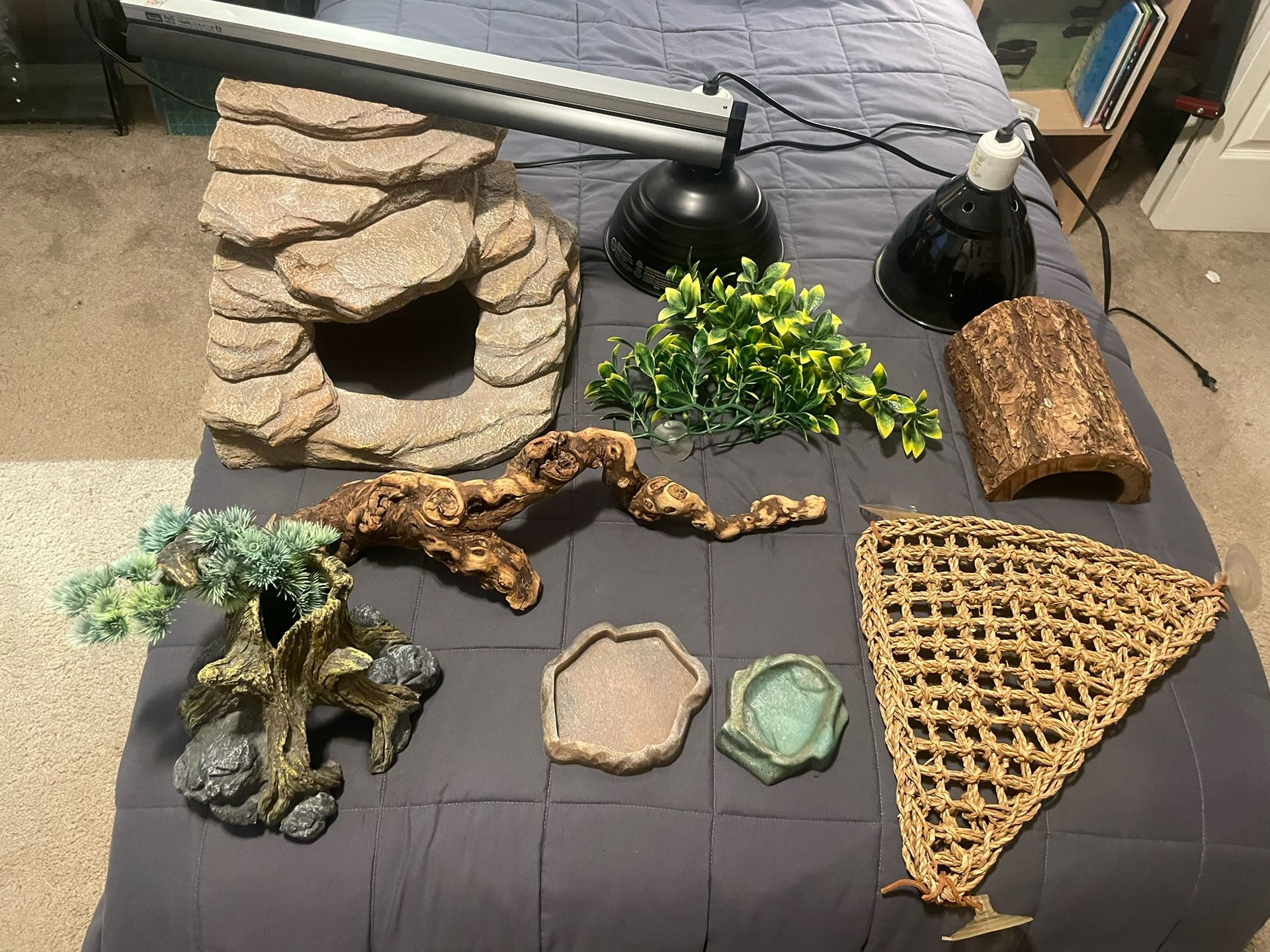 Reptile Dessert Starter Kit