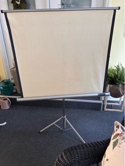 Vintage Radiant Picture Master Projector Screen