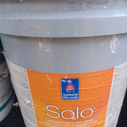 5 gallons Interior/exterior Gloss White paint