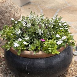 Profesional Flower Pot Installer 