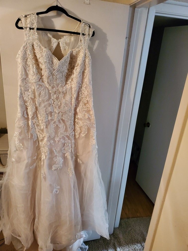 David's Bridal Wedding Dress 