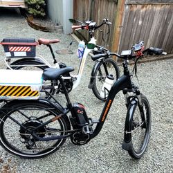 RadCity Step through ebike