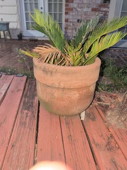 Roberto Italian style terracotta planter round