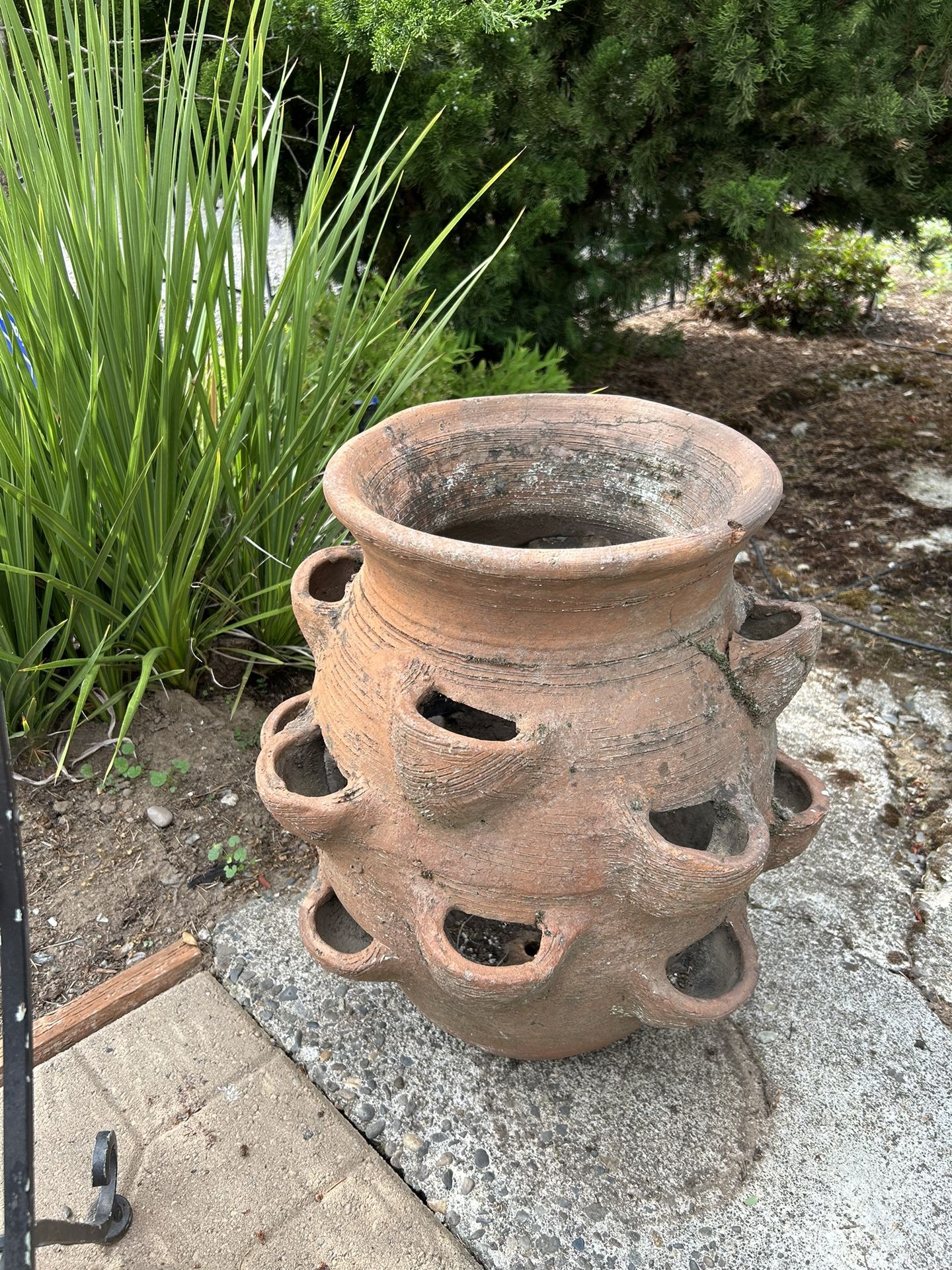 Large Vintage Terracotta Strawberry Planter for Sale in Portland, OR OfferUp