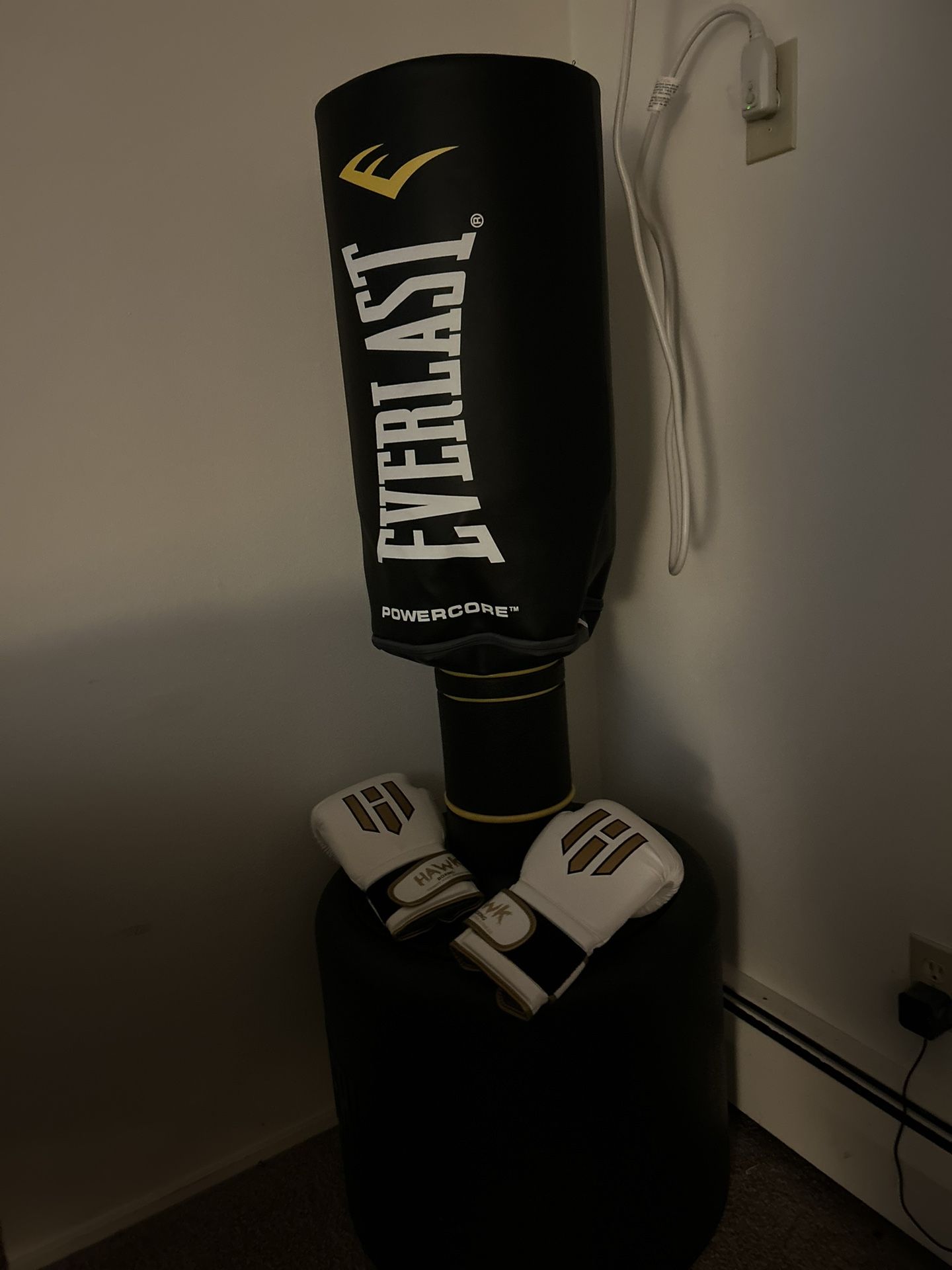 Punching Bag