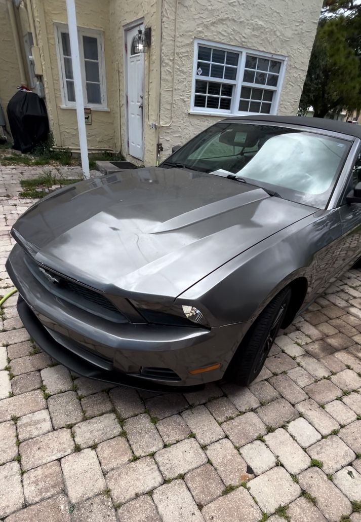 Mustang