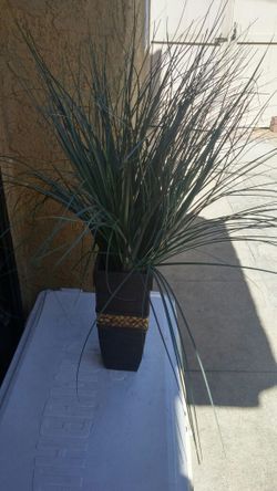 Decoration