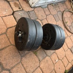 30lb Dumbbell 