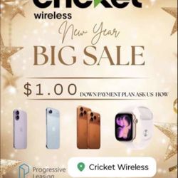 $1 Down At Cricket Schererville 