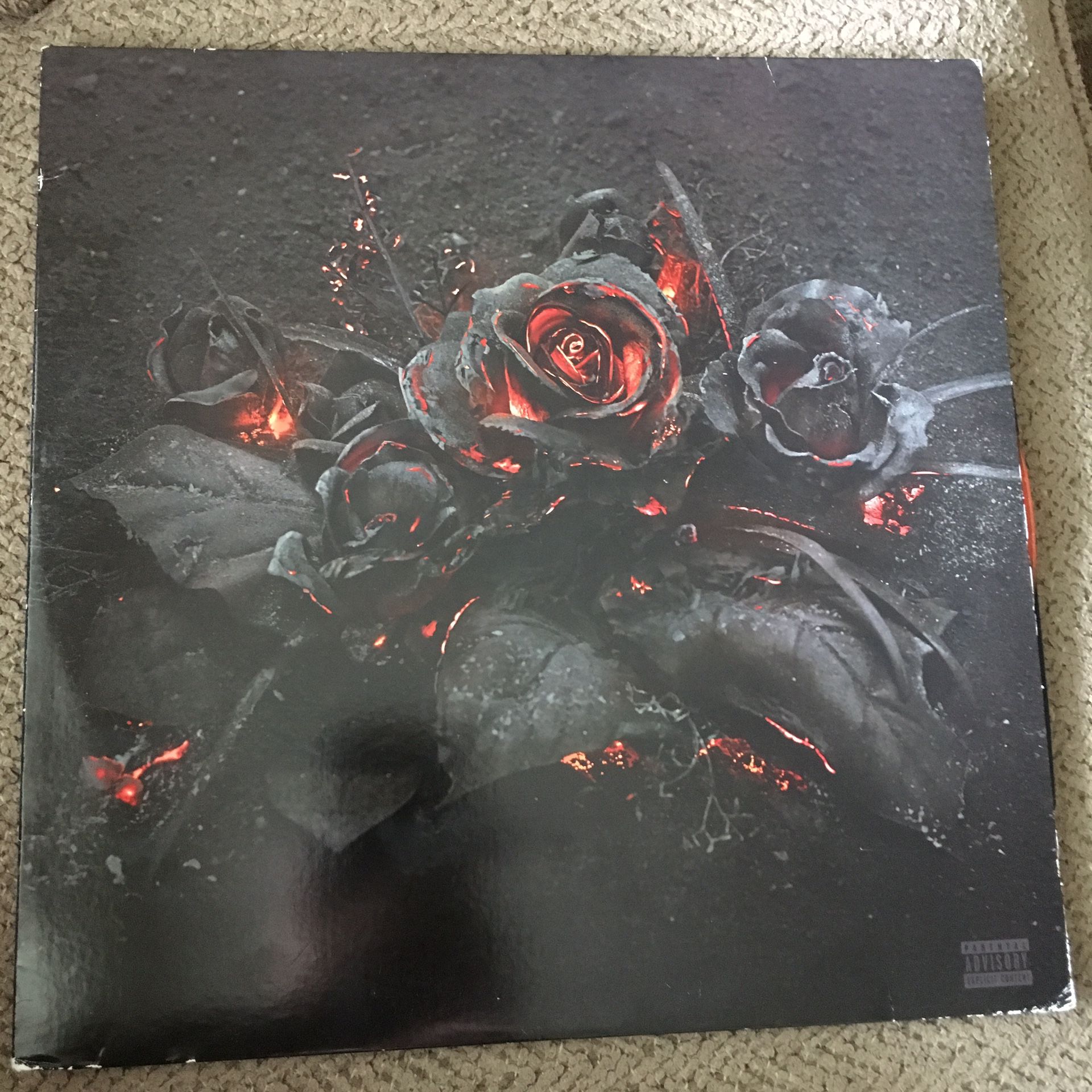 FUTURE-EVOL VINYL RECORD