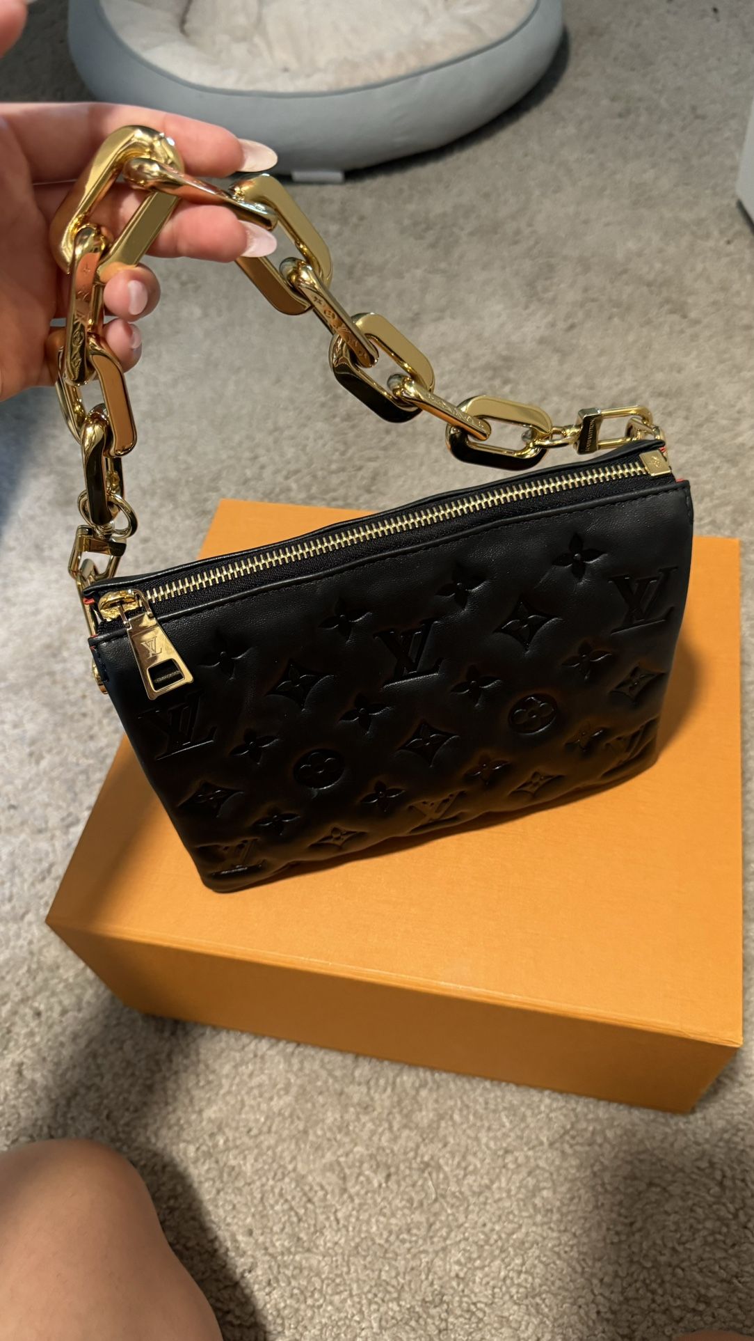 Louis Vuitton Bag
