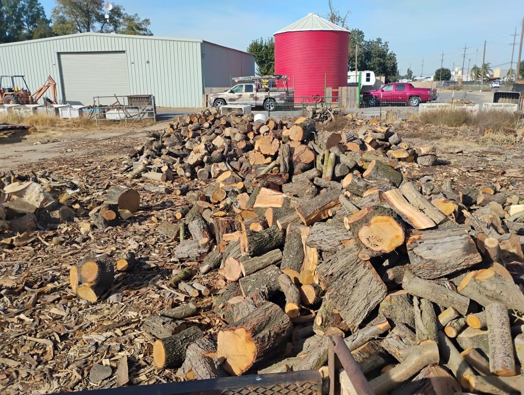 Firewood