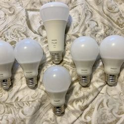 Hue White Philips 840 and 1600 Lumens Light Bulbs