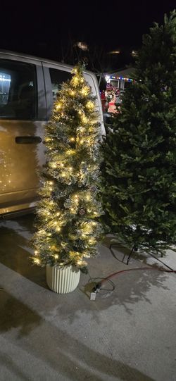 6ft Sparkling Armelia Pine Potted LED Pre-Lit Tree