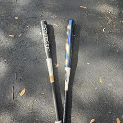 softball/ baseball bats