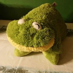 Frog Pillow 