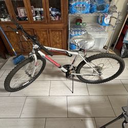 Road Master Bike 