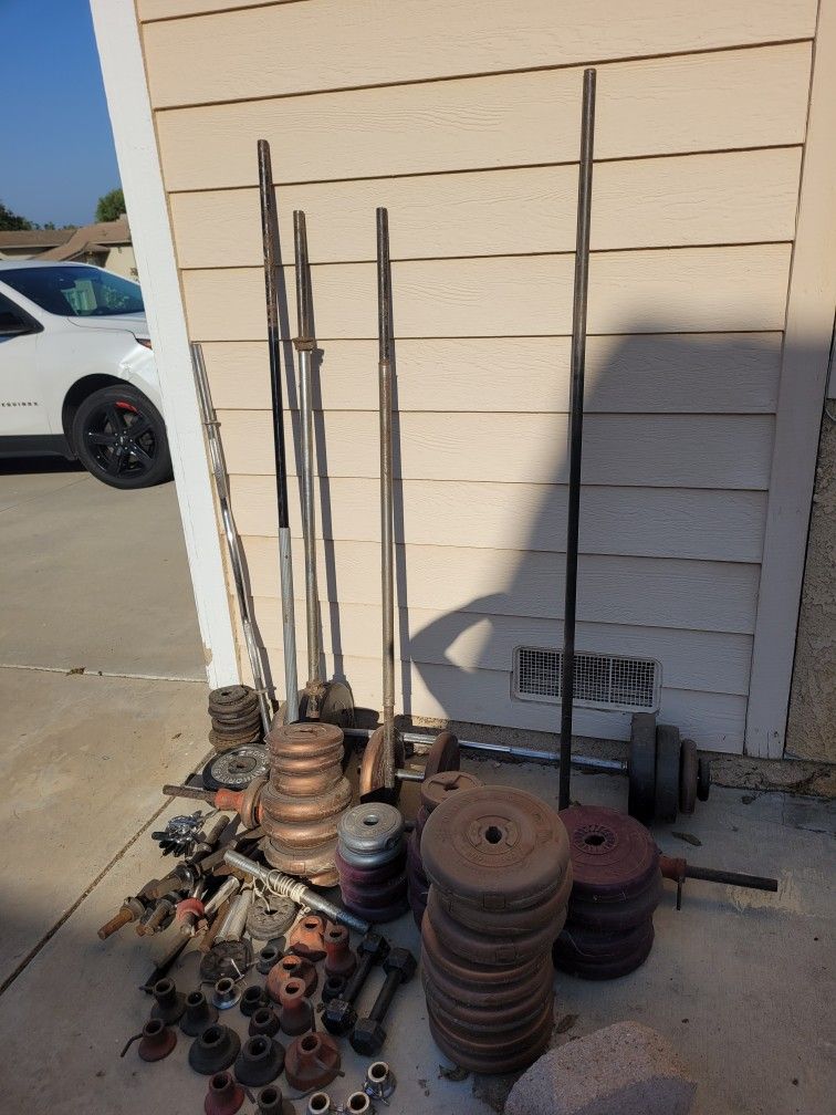 Exercise Weights