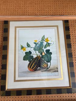 Beautiful framed gourd with gold accent