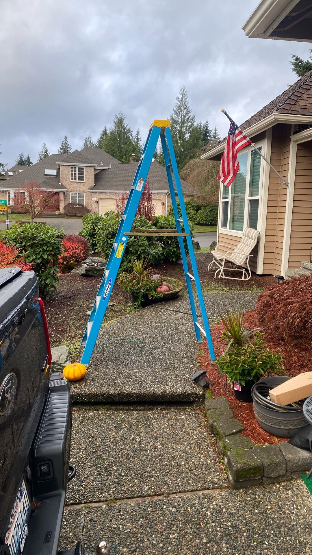 Werner 8 Foot Fiberglass Ladder 